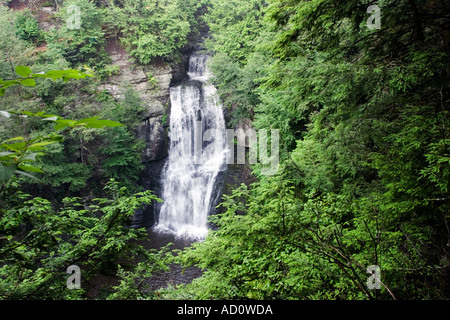 Bushkill Falls Pocono Mountains Pennsylvania Stockfoto