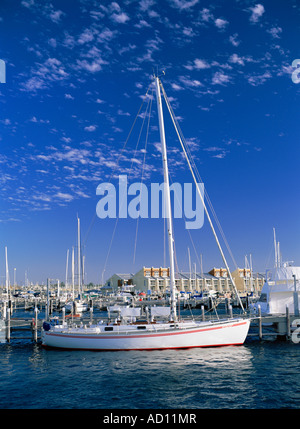 Skyline, Perth, Western Australia, Australien Stockfoto