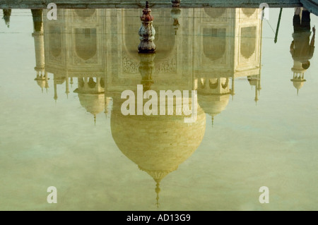 Horizontale abstrakten Blick auf das Taj Mahal Moschee spiegelt sich im Wasser des Pools Lotus. Stockfoto