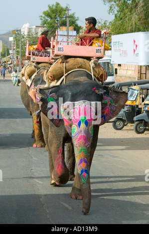 Vertikale Ansicht von zwei wunderschön bemalte indische Elefanten, die entlang der Straße in Jaipur. Stockfoto
