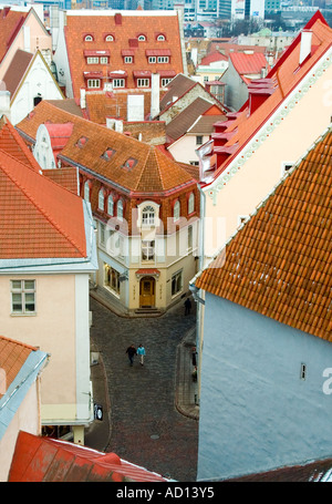 Vertikale erhöhte Ansicht über die Terrakottadächer der Altstadt. Stockfoto