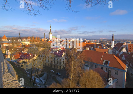 Horizontalen Weitwinkel erhöhte Ansicht über die Terrakottadächer und Türme der alten Stadt Tallin an einem sonnigen Tag. Stockfoto