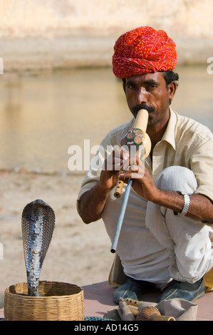 Vertikale Nahaufnahme einen Schlangenbeschwörer mit seiner Kapuze indischen Spectacled Cobra "Naja Naja" durchführen. Stockfoto