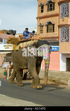 Vertikale inzwischen eine bemalte indische Elefanten tragen Brennholz entlang der Straße. Stockfoto