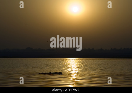 Horizontalen Weitwinkel eine verhüllte Leiche schwebt hinunter den Fluß Ganges bei Sonnenaufgang. Stockfoto