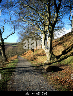 Taff Trail, Quakers Yard in der Nähe von Merthyr Tydfil, South Wales Valleys. Stockfoto