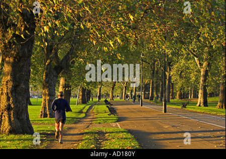 Hyde Park, London, England Stockfoto