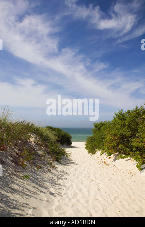 Lamberts Cove Beach, North Tisbury, Martha's Vineyard, Massachusetts, USA Stockfoto