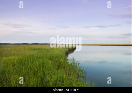 Salt Pond Bay, Eastham, Cape Cod, Massachusetts, USA Stockfoto