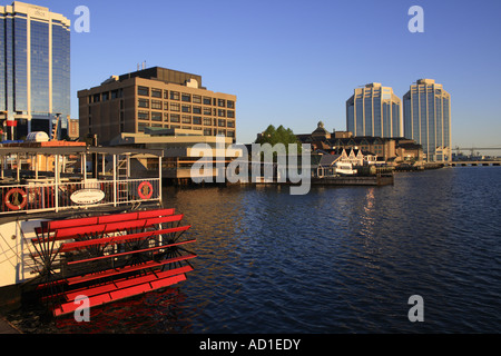 Skyline von Halifax am frühen Morgen, Nova Scotia, Kanada, Nordamerika. Foto: Willy Matheisl Stockfoto