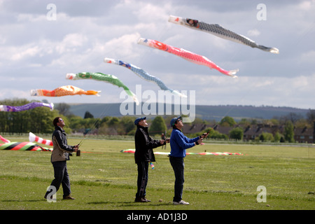 Team von Stunt Drachenflieger auf einem Drachenfestival Stockfoto