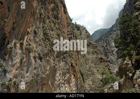 Samaria-Schlucht-Nationalpark auf der griechischen Insel Kreta Stockfoto