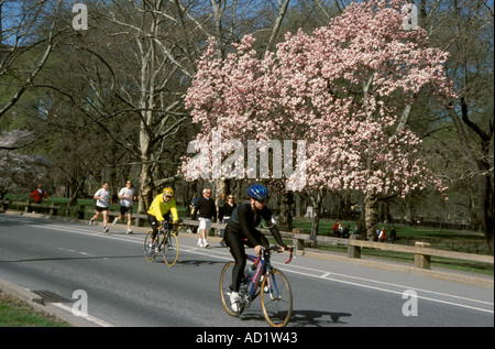 Menschen, Radfahren und Joggen im Central Park in New York City Manhattan Stockfoto