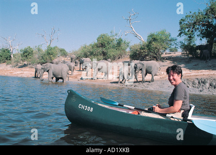 Weiße Dame touristischen Kanufahren in der Nähe eine Herde Elefanten am Chobe Fluss-Botswana-Südafrika Stockfoto