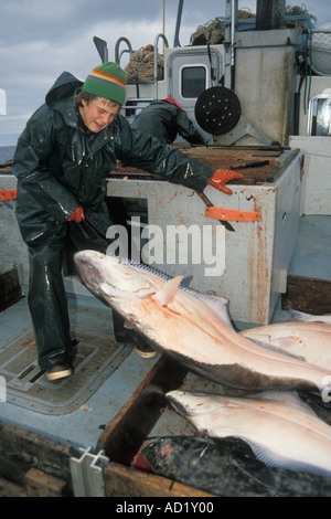 Kelly Stier Langleinen Fischerei in den Golf von Alaska Galfs eine Pazifische Heilbutt, Hippoglossus sternolepis Stockfoto