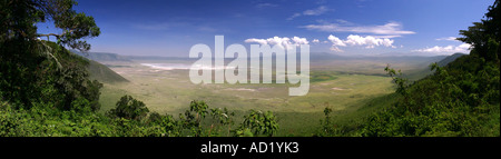 Ngorongoro Krater, Tansania (Panorama) Stockfoto