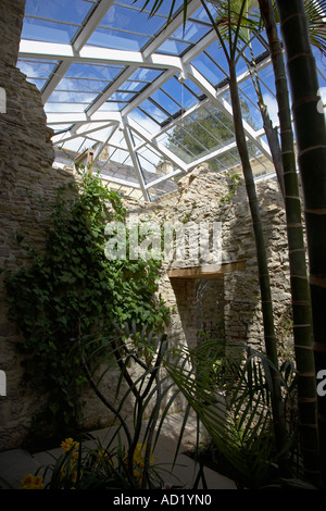 Die Ninfarium befindet sich im Aberglasney Gärten in Llangathen Carmarthenshire Wales Stockfoto