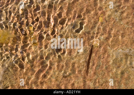 Fossil im Wasser Stockfoto