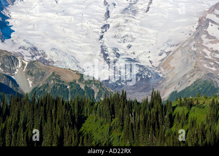 Wald-Nahaufnahme mit Mount Rainier Rising hinter Berg Washington State USA Stockfoto