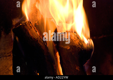 Feuer, Brennholz. Stockfoto