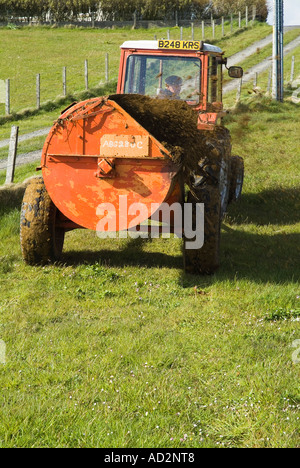 dh Massey Ferguson 240 TRAKTOR FARM UK LANDWIRTSCHAFT Ziehen Mist Spreizer Felder Dünger Dreck verbreitet Kompost auf dem Feld verteilt Stockfoto