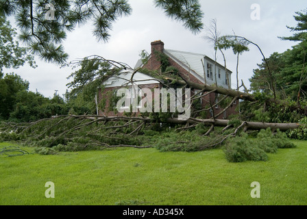 Wind Sturm Schäden Zerstörung mit Baum auf Haus, Philadelphia, Pennsylvania USA gefallen Stockfoto