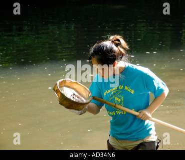 Asiatisch-amerikanische Teenagerin mit net Probenahme Flusswasser für Fische und Wirbellosen biologischen Indikatoren für die Wasserqualität Stockfoto