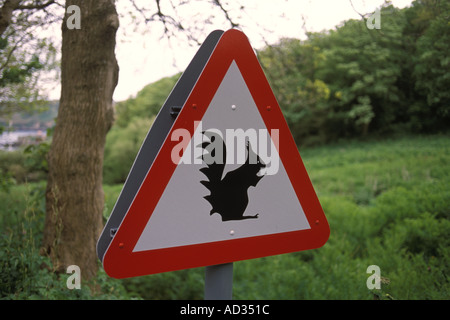 Vorsicht vor roten Eichhörnchen auf dem Weg nach Rosel Jersey die Channel Islands UK 2000s HOMER SYKES Stockfoto