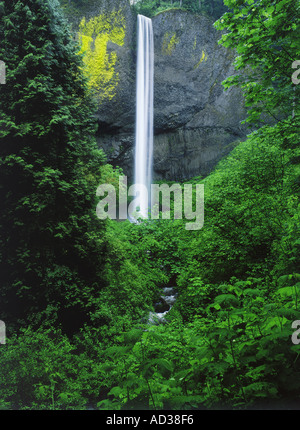 Latourell verliebt sich in Columbia River Gorge National Scenic Area Stockfoto