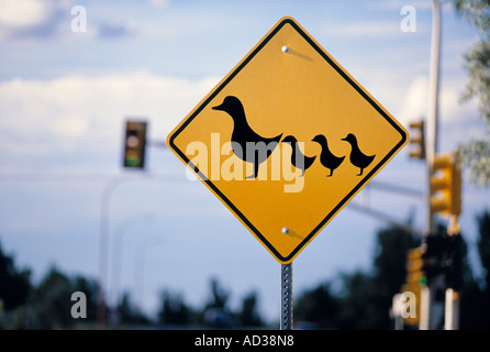 Ente Zeichen auf Straße überqueren. Stockfoto