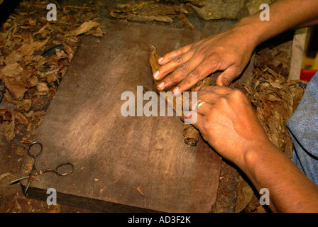 Nahaufnahme des Arbeitnehmers Hände Rollen eine Zigarre in einer mexikanischen Zigarrenfabrik, Veracruz, Mexiko Stockfoto