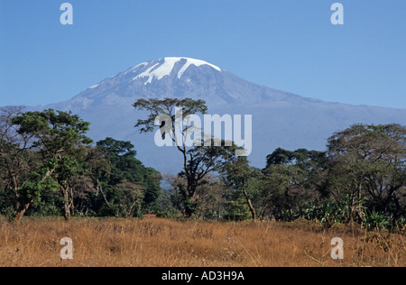 Kilimanjaro-Blick vom Mweka über Moshi, Tansania Stockfoto