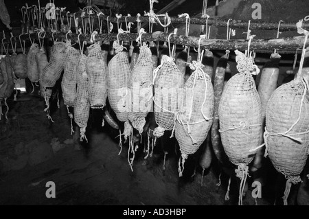 Die jährliche Schlachten des Schweins getan die traditionelle Art Pyrenäen Spanien Stockfoto