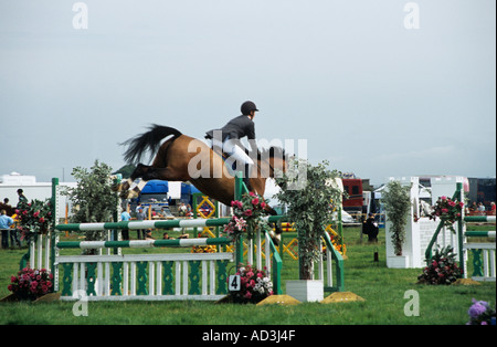 ANGLESEY zeigen GWALCHMAI NORTH WALES UK August One Show Jumping Wettbewerber auf der jährlichen Messe Stockfoto