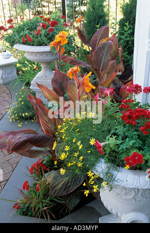 MINNESOTA TOWNHOME PATIO-GARTEN MIT STEINERNEN SOCKELN UND URNEN, TROPICANNA CANNAS, MOONBEAM COREOPSIS. JULI. Stockfoto