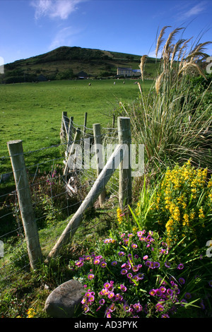 Hang oberhalb Clarach Bucht in der Nähe von Aberystwyth in Wales Stockfoto