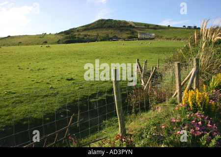 Hang oberhalb Clarach Bucht in der Nähe von Aberystwyth in Wales Stockfoto