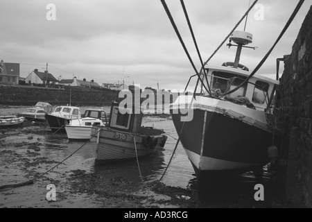 Boote bei Ebbe im Hafen von Rush im County Dublin, Irland Stockfoto