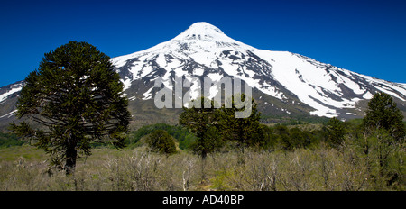 Vulkan Lanin, Chile/Argentinien Grenze, Nationalpark Villarrica, chilenische Lakes District Stockfoto