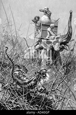 Jagd, Raubkatzen, Tiger, Jäger schießen, Reiten auf Elefanten, Indien, Gravur nach Zeichnung von Hugo Ungewitter, im Jahr 1895, Stockfoto