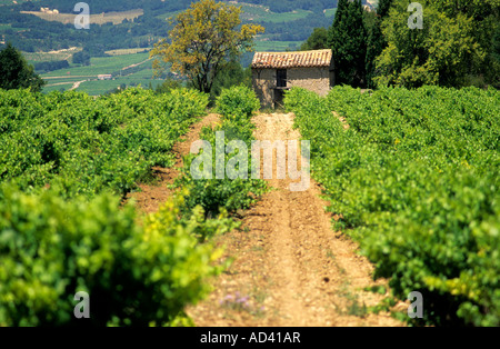 Côtes du Rhône. Weingut. Frankreich Stockfoto