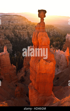 Thors Hammer, Bryce Canyon Nationalpark, Utah, Vereinigte Staaten von Amerika, USA Stockfoto