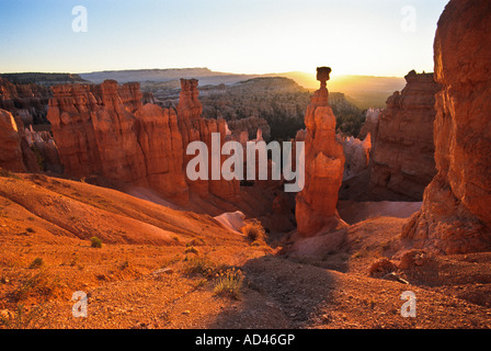 Thors Hammer, Bryce Canyon Nationalpark, Utah, Vereinigte Staaten von Amerika, USA Stockfoto