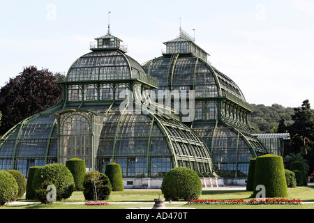 Palmenhaus, historischen grünes Haus Schönbrunn, Wien, Österreich Stockfoto