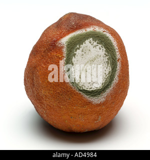 Verfaulte orange Stockfoto
