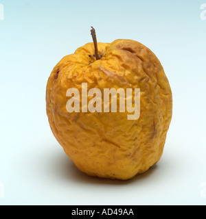 Faltige Golden Delicious Apfel Stockfoto