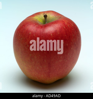 Pink Lady Apfel Stockfoto