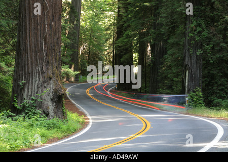 Rücklichter eines Autos fahren durch die Allee der Riesen scenic Byway durch die hohen Mammutbäume (Sequoia Sempervirens), Cal Stockfoto