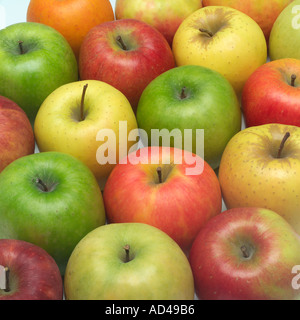 Sortiment mit Golden, Pink Lady, Royal Gala und Granny Smith Äpfel Stockfoto