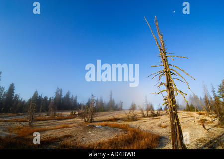 Landschaft, Yellowstone-Nationalpark, Wyoming, USA Stockfoto